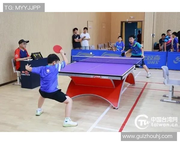 武汉乒乓球队的阵地战揭秘与深度分析乒乓球运动的魅力与挑战