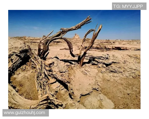 古铁雷斯的传奇人生与不朽成就探秘之旅