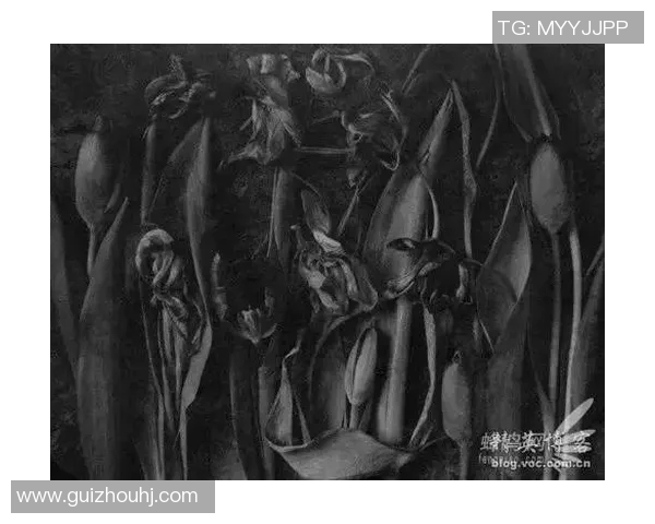 布莱克尼的魅力探索：揭开这个神秘小镇的历史与文化面纱