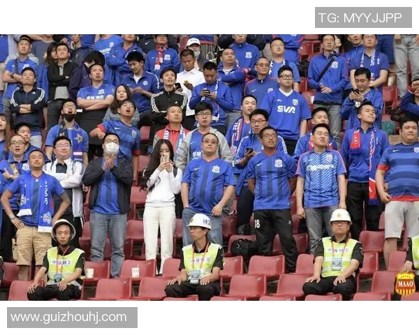 权健与申花激战正酣精彩瞬间回顾与赛后分析