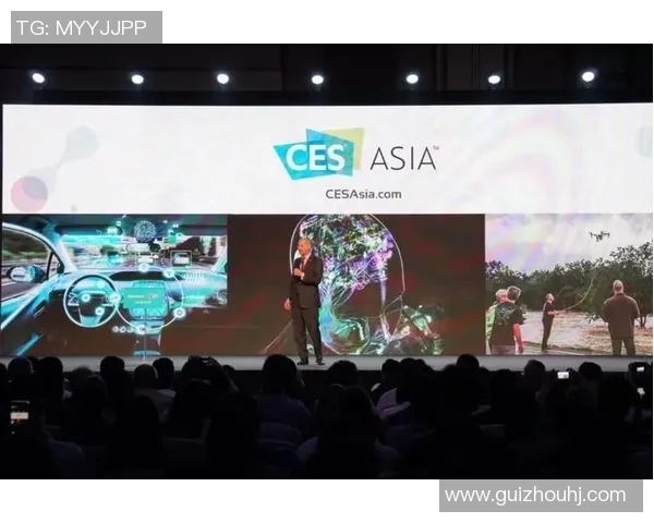 梦想与风暴的历史对决战绩分析与未来展望