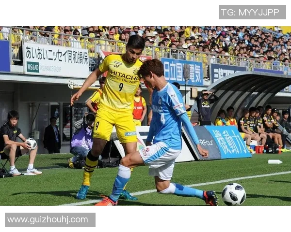 水户蜀葵迎战爱媛球队全力争胜展现实力与斗志 水户蜀葵迎战爱媛球队全力争胜展现实力与斗志